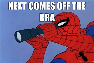 Spiderman Meme on Funny Spiderman Meme   Funny   The Quota